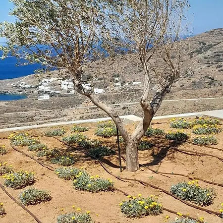Regenesis 2 Villas Tinos Villa Kardhiani